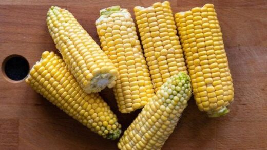 how-long-does-it-take-to-boil-corn-on-the-cob-to-get-ideal-cooking?