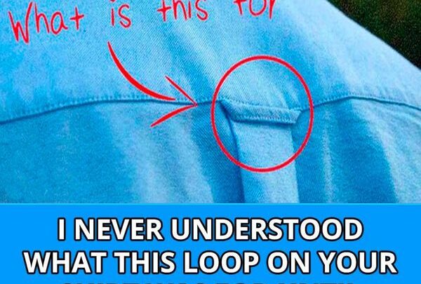 why-do-button-down-shirts-have-loops-on-the-back?