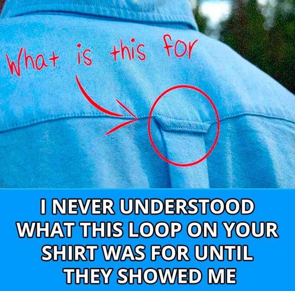 why-do-button-down-shirts-have-loops-on-the-back?