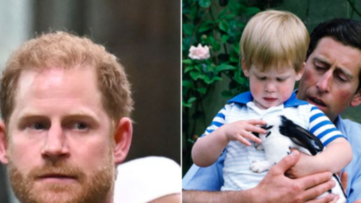 a-royal-expert-reveals-the-one-thing-prince-harry-‘has-always-disagreed-with’-about-his-father-charles.