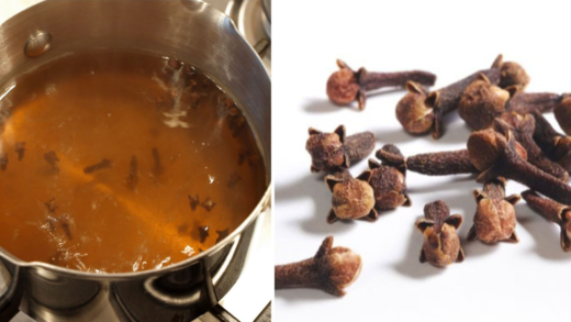 say-goodbye-to-bronchitis-and-hello-to-relief-with-cloves