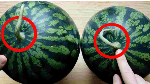 how-to-pick-a-perfectly-sweet-watermelon:-easy-tips-at-a-glance