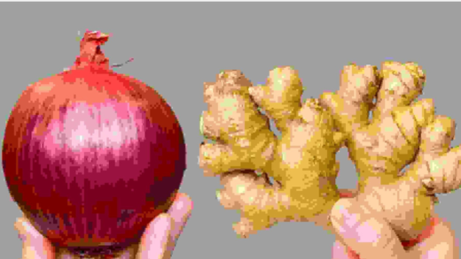 the-dynamic-duo:-ginger-and-red-onion-for-lifelong-wellness