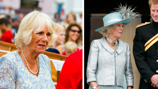 queen-camilla-‘outraged’-following-prince-harry’s-visit-to-see-his-father-for-‘loving-son-pr-stunt,’-according-to-a-source.