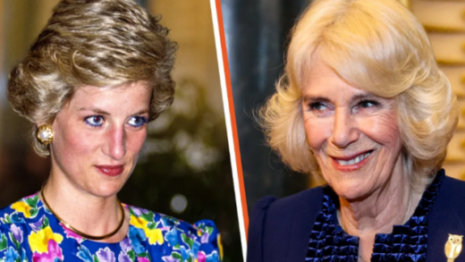 queen-camilla-looks-stunning-in-head-to-toe-pink-just-like-princess-diana-did:-fans-split-over-who-wore-it-better.