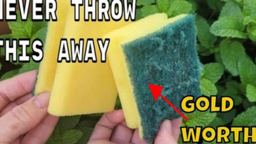 discover-the-golden-value-of-used-sponges-for-your-home-and-garden