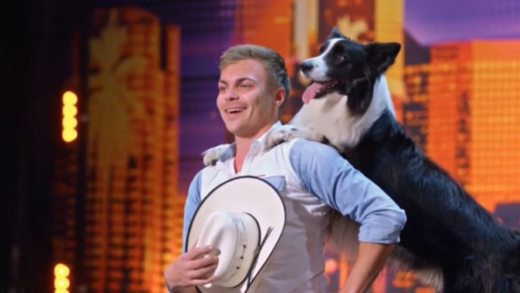 border-collie-wows-america’s-got-talent-judges-with-incredible-‘footloose’-dance-routine