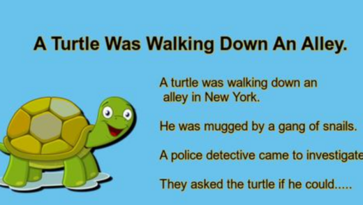 a-turtle-was-walking-down-an-alley.