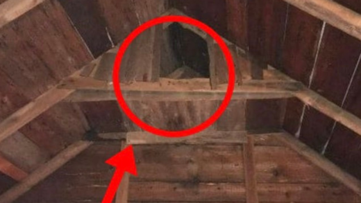 strange-small-“room”-in-my-ancient-barn’s-top