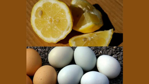 the-hidden-health-benefits-of-lemons-and-eggs