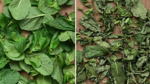 the-simplest-way-to-dry-mint-leaves-at-home-‎‎