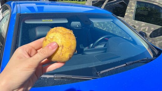 the-surprising-lifesaver:-a-potato-in-your-car