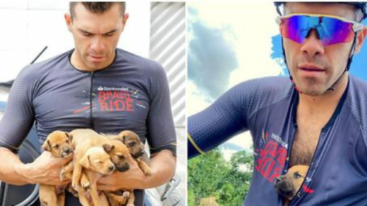 cyclists-find-five-puppies-buried-in-hole,-give-them-a-ride-to-save-their-lives