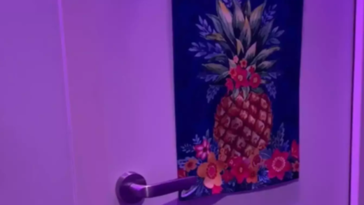 some-cruise-ship-passengers-are-just-realizing-what-upside-down-pineapple-signs-on-cabin-doors-mean