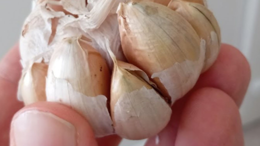 the-wonders-of-sprinkling-garlic-outside-your-door