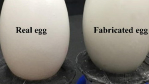 spotting-the-difference:-real-vs.-fake-eggs