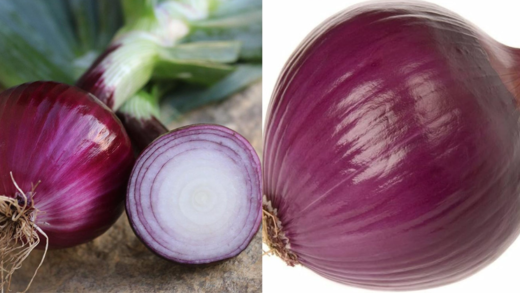 the-surprising-benefits-of-eating-onions-every-day