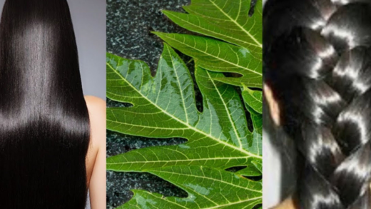 natural-secrets:-using-papaya-leaves-to-restore-hair-color-and-promote-growth