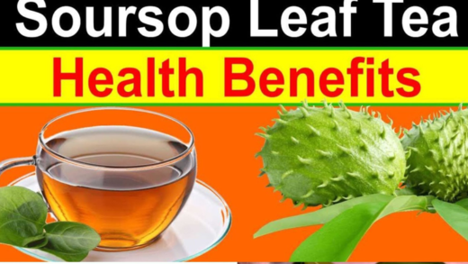 exploring-the-benefits-of-soursop-leaf-tea:-why-you-should-try-it