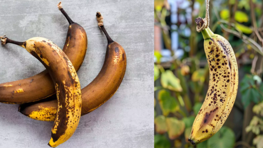 here’s-why-you-want-to-hang-an-overripe-banana-in-your-garden