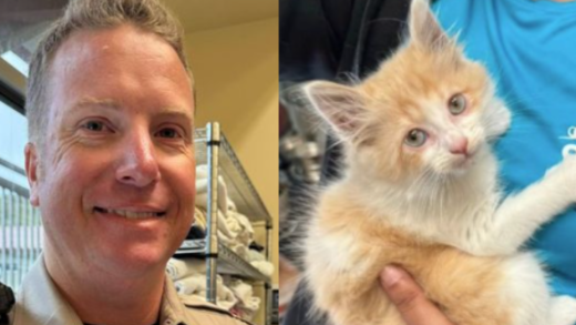 trooper-saves-scared-kitten-from-highway-—-then-comes-back-to-adopt-her