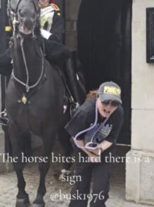tourist-refuses-warnings-and-gets-bitten-by-king’s-guard-horse.